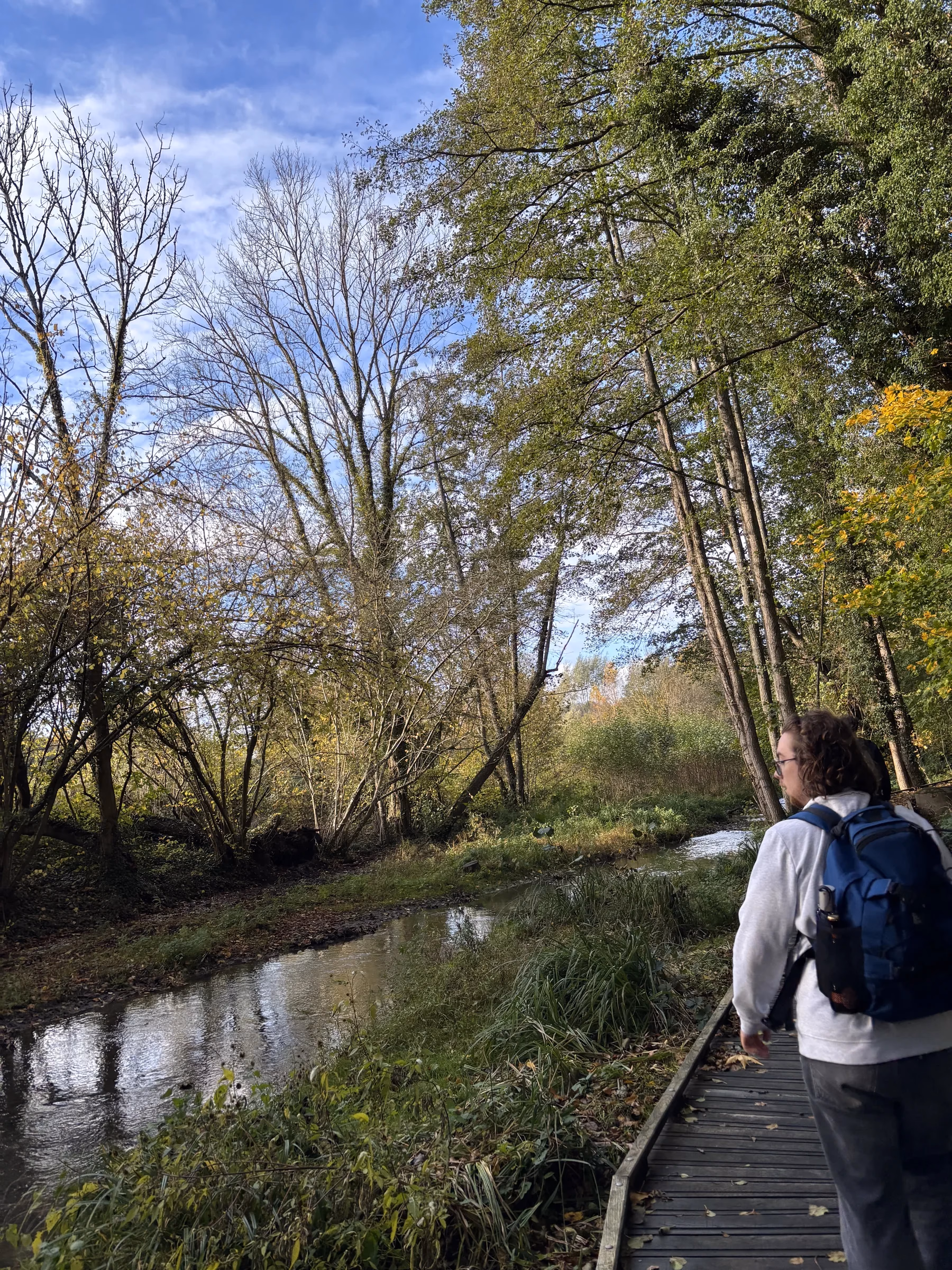 Randonnée Yvelines : Traversée de la Vallée de Chevreuse (Gare à Gare)