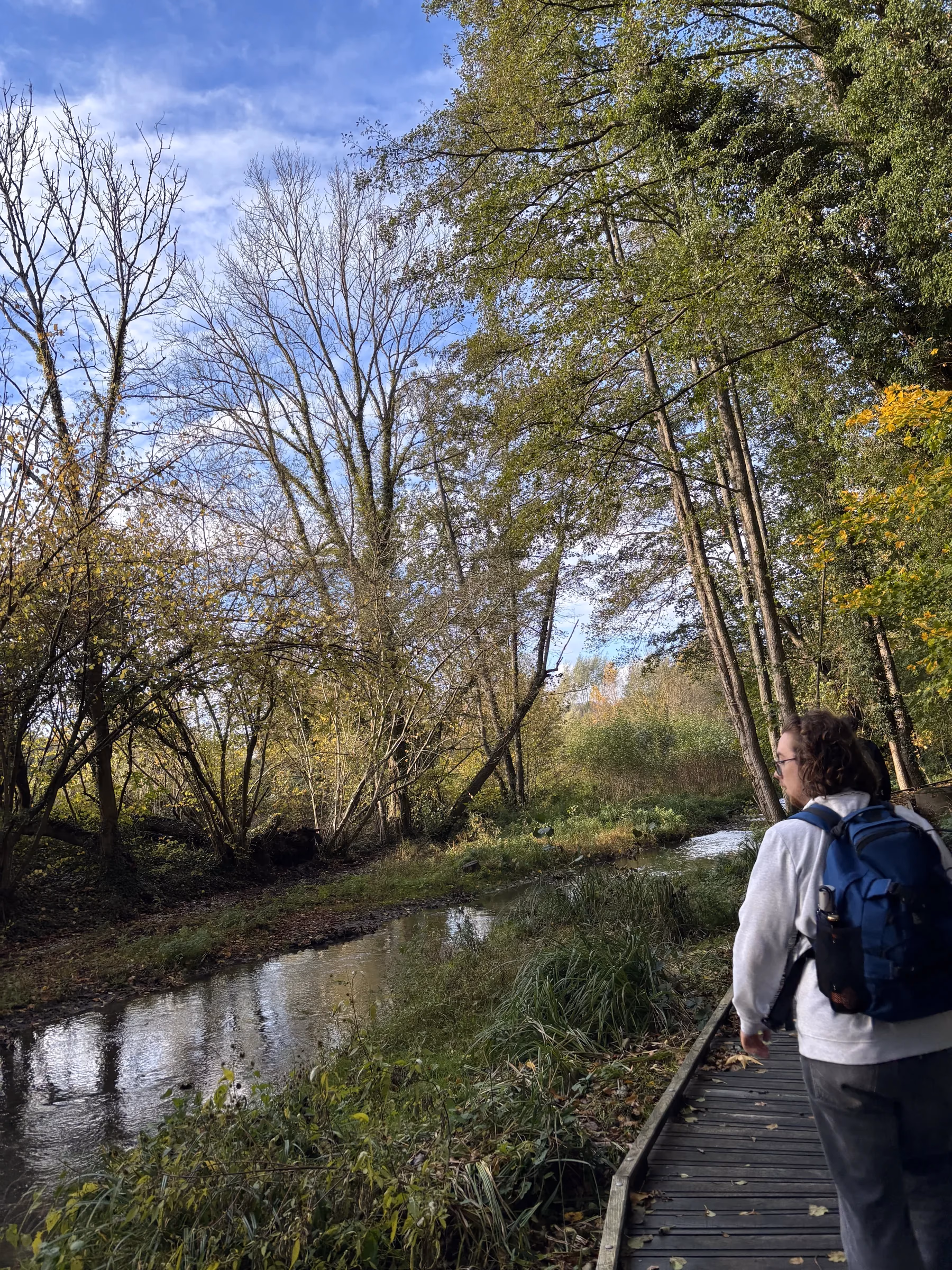 Randonnée Yvelines : Traversée de la Vallée de Chevreuse (Gare à Gare)