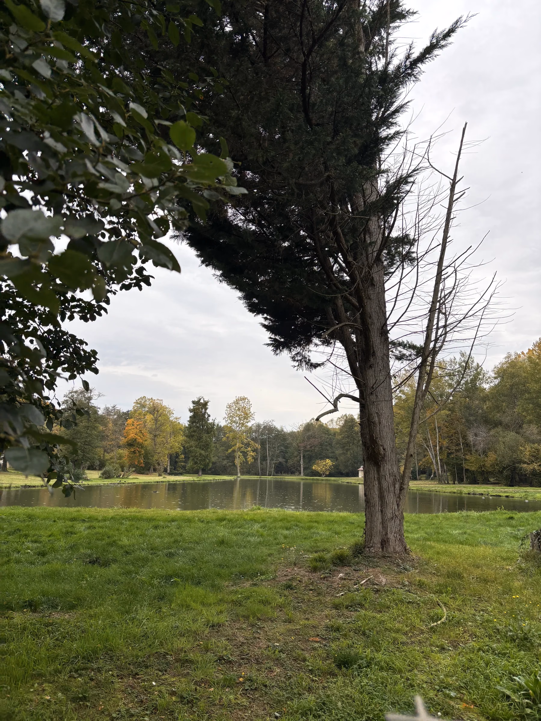 Les étangs romantiques de Milon-la-Chapelle