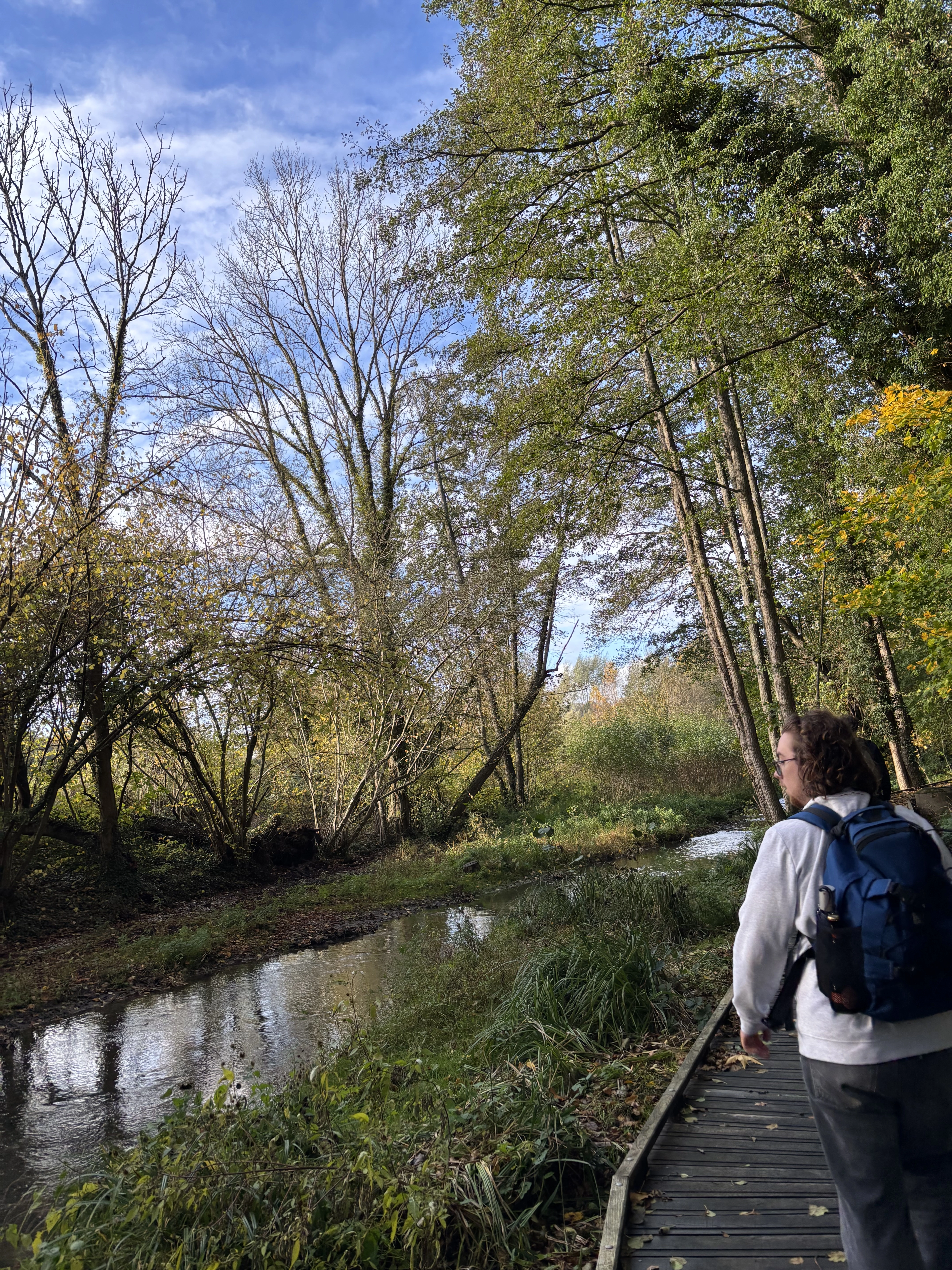 Échappée Belle : Traversée Automnale de la Vallée de Chevreuse