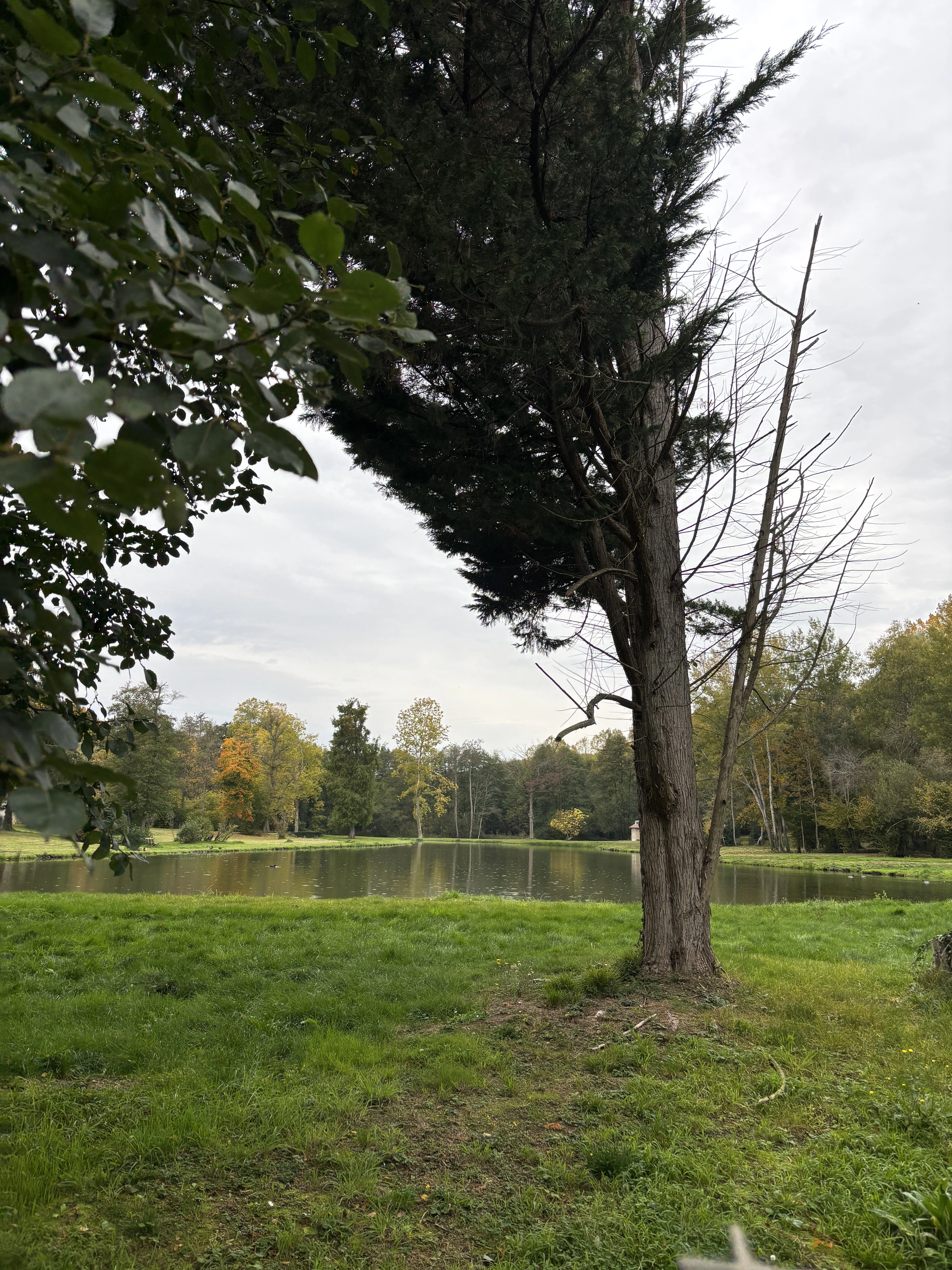 Les étangs romantiques de Milon-la-Chapelle